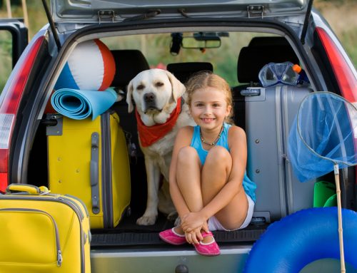 Do’s and Don’ts When Traveling with Your Pet