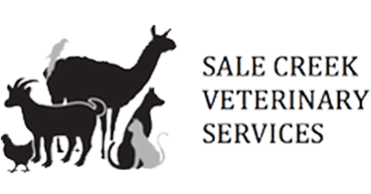 Basic Goat facts - Vet in Sale Creek | Sale Creek Veterinary Services